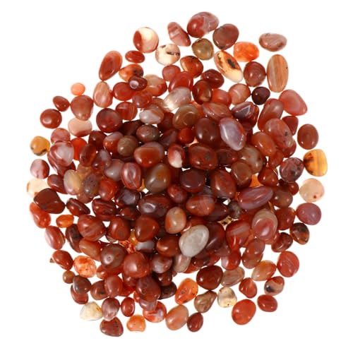 POPETPOP Flusssteine Kieselsteine Trommelsteine Packung Polierter Steine Für Aquarien Pflanzgefäße Gartensteine Kies Dekorativ Pflanzen Und Sukkulentensteine POPETPOP Flusssteine Kieselsteine Trommelsteine Packung Polierter Steine Für Aquarien Pflanzgefäße Gartensteine Kies Dekorativ Pflanzen Und Sukkulentensteine von POPETPOP