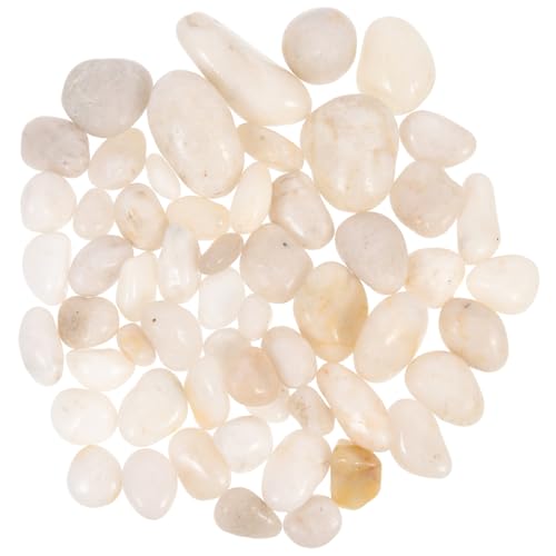 POPETPOP Aquarium-Ornamente Naturstein Dekorativer Kies Fischtank-kies 3 Pfund Hochglänzende Steinkiesel POPETPOP Aquarium-Ornamente Naturstein Dekorativer Kies Fischtank-kies 3 Pfund Hochglänzende Steinkiesel von POPETPOP