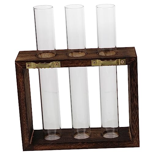POPETPOP Reagenzglasvase Aus Glas Pflanzenanzuchtröhrchen Terrarium-Set Für Pflanzen Zur Wandmontage von POPETPOP