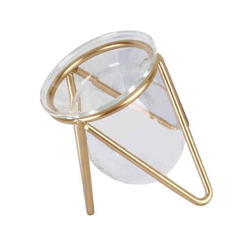 POPETPOP 1 Satz Glasvase Wasserpflanzenrohre Saftig Container Luft Hydroponische Pflanzen-terrariumvasen Einzigartig Pampas Klare Blumenvase Terrarienglas Sich Vermehren Gold Metall von POPETPOP