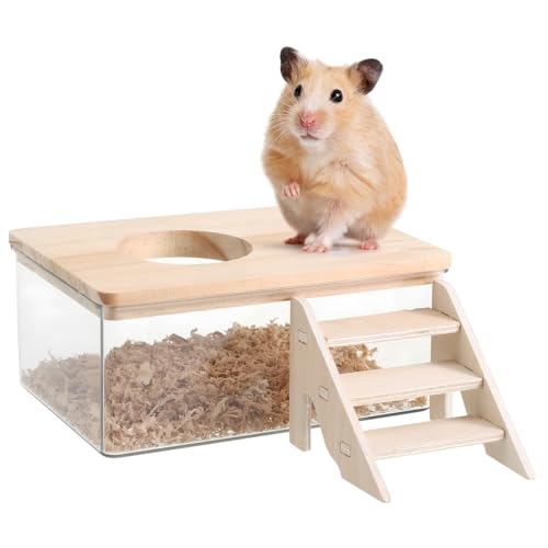 POPETPOP 1 Satz Hamsterbad Hamstersandbad mit Leiter Sandbehälter Graben Hamster Hamster zubehör Haustier badewanne Chinchilla-Bad Haustierversorgungsbad Holz Transparent POPETPOP 1 Satz Hamsterbad Hamstersandbad mit Leiter Sandbehälter Graben Hamster Hamster zubehör Haustier badewanne Chinchilla-Bad Haustierversorgungsbad Holz Transparent von POPETPOP