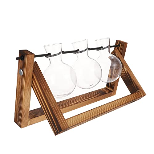 POPETPOP 1 Satz Hydroponischer Behälter Anlage Hydroponische Pflanzen Steht Brunnen Statuen Terrakotta-Topf Pflanzgefäß Für Hochbeete Wandpflanzer Vasen Dekorativ Halter Led Glas von POPETPOP