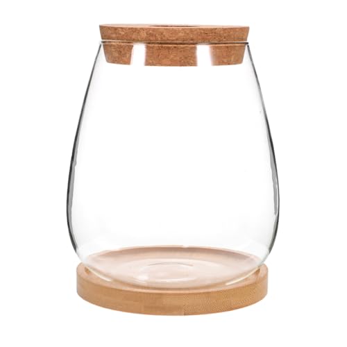 POPETPOP 1satz Landscape Terrarium Glasflasche Für Pflanzen Transparent Mit Dekorativen Und Moos Für Tischdeko Und Kreative Raumgestaltung von POPETPOP