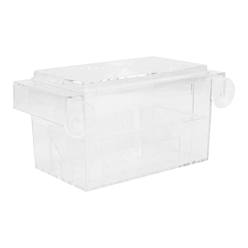 POPETPOP 1 Stück Karton Brutkasten Für Aquarien Kanister Aquarienfilter Filter Für Aquarien Inkubator Für Die Fischzucht Aquarienzuchtnetz Fisch Aquarien Fischbecken Mit Bausatz Weiß Acryl POPETPOP 1 Stück Karton Brutkasten Für Aquarien Kanister Aquarienfilter Filter Für Aquarien Inkubator Für Die Fischzucht Aquarienzuchtnetz Fisch Aquarien Fischbecken Mit Bausatz Weiß Acryl von POPETPOP