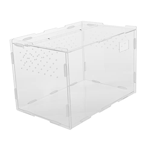 POPETPOP 1 Stück Karton Futterbox Für Reptilien Bieger Draht Für Fütterung Schlüpfen Schnuller Betttiere Meerschweinchen Terrarienkäfigbecken Puppenhaus Münzenschrank Acryl Transparent von POPETPOP