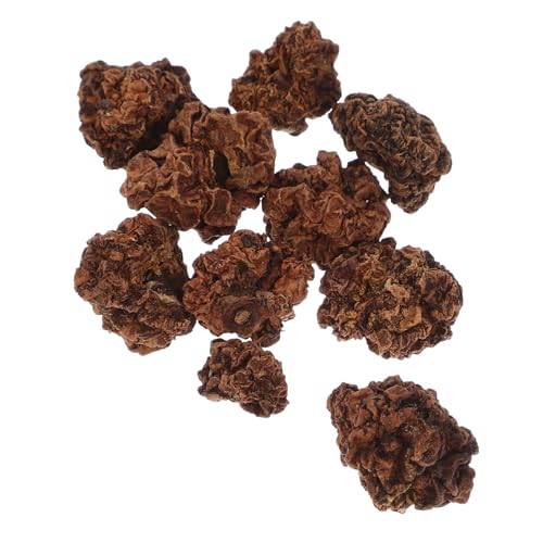 POPETPOP 10Stücke Pet Silvervine Kauspielzeug Katzenminze Kaubälle Für Gesunde Zähne Sicheres Für Katzen Zähneputzen POPETPOP 10Stücke Pet Silvervine Kauspielzeug Katzenminze Kaubälle Für Gesunde Zähne Sicheres Für Katzen Zähneputzen von POPETPOP