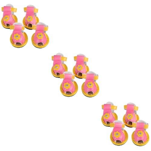 POPETPOP 12 rutschfeste Schuhe für Haustiere Hundesandale hundeschuhe Sommerschuhe Sandalen Haustier-Sandale Haustierzubehör und Haustierschuhe Meeresschildkröte POPETPOP 12 rutschfeste Schuhe für Haustiere Hundesandale hundeschuhe Sommerschuhe Sandalen Haustier-Sandale Haustierzubehör und Haustierschuhe Meeresschildkröte von POPETPOP