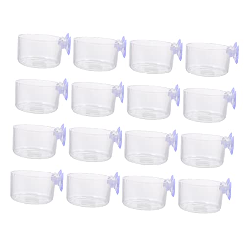 POPETPOP 16-Teilige Benthische Pflanzenschalen Schalen Schalen Tablett Für Tierbehälter Mini-Garnelenschale Transparenter Behälter Futter Mit Geeignetem Halter Tasse Blutwurm von POPETPOP