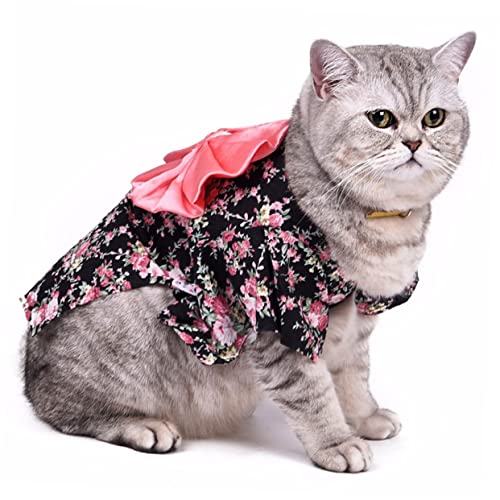 POPETPOP 1 Stück Hundekleidung Japanischer Kimono Für Haustiere Haustierkleidung Haustier-Geist-Cosplay Hunde-Seemann-Kostü Pfau Haustierkostü Cosplay Für Kleine Hunde Hanbok POPETPOP 1 Stück Hundekleidung Japanischer Kimono Für Haustiere Haustierkleidung Haustier-Geist-Cosplay Hunde-Seemann-Kostü Pfau Haustierkostü Cosplay Für Kleine Hunde Hanbok von POPETPOP