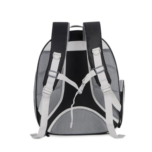 POPETPOP Katzentrage-Rucksack Mit Atmungsaktivem Netzgewebe Tragetasche Für Haustiere Groß Erweiterbar Für Spaß Im Freien POPETPOP Katzentrage-Rucksack Mit Atmungsaktivem Netzgewebe Tragetasche Für Haustiere Groß Erweiterbar Für Spaß Im Freien von POPETPOP