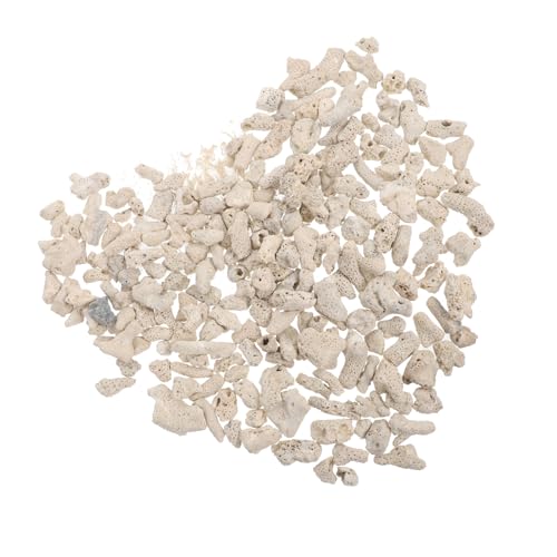 POPETPOP 2 Packungen Korallenstein Korallenblock Zweige Tank Teiche Fisch Aqua Zubehör Ornamente Abschlussball Filtersteinverzierung Natürlicher Schotter Weiß POPETPOP 2 Packungen Korallenstein Korallenblock Zweige Tank Teiche Fisch Aqua Zubehör Ornamente Abschlussball Filtersteinverzierung Natürlicher Schotter Weiß von POPETPOP