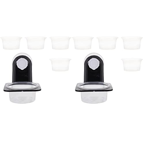 POPETPOP 2 Sets Reptilien-futternapf Doppelbehälter Tasse Kunststoff Reptilien-wasserschale Für Leguan Spinne POPETPOP 2 Sets Reptilien-futternapf Doppelbehälter Tasse Kunststoff Reptilien-wasserschale Für Leguan Spinne von POPETPOP