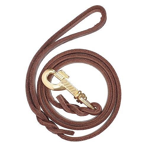 POPETPOP 2st Hundeleine Laufleine Für Haustiere Haustier Führstrick Igel Laufseil Für Hunde Gürtel Für Schnallen Eine Handleine Katze Mittlere Bis Große Hunde Eisen Führseil POPETPOP 2st Hundeleine Laufleine Für Haustiere Haustier Führstrick Igel Laufseil Für Hunde Gürtel Für Schnallen Eine Handleine Katze Mittlere Bis Große Hunde Eisen Führseil von POPETPOP