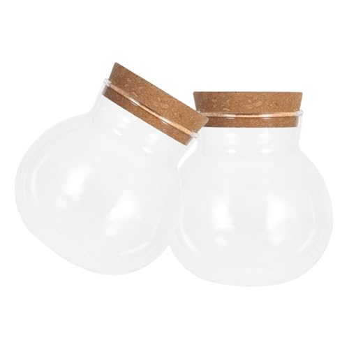 POPETPOP 2 Stück Hydro ponische Pflanzen Flasche Vermehrungsgefäße Wasserausbreitungsstation Hydroponischer Pflanzenhalter Gla -Terrarium Terrarium Glas Transparent POPETPOP 2 Stück Hydro ponische Pflanzen Flasche Vermehrungsgefäße Wasserausbreitungsstation Hydroponischer Pflanzenhalter Gla -Terrarium Terrarium Glas Transparent von POPETPOP