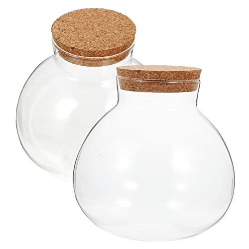 POPETPOP 2 Stück Transparente Ökologieflasche mit Korkdeckel Runde Mikrolandschaft Flasche für DIY Landschaften ohne Beleuchtung für Pflanzen und Dekoration von POPETPOP