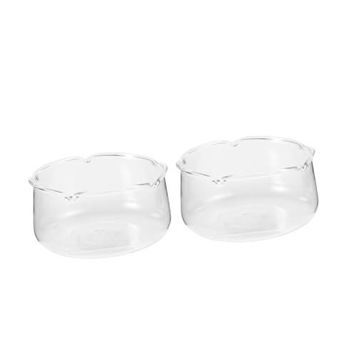 POPETPOP 2 Stück Transparenter Glasblumentopf Desktop-Aquarium Terrariumpflanzen Vermehrung Für Pflanzen Pflanzenbehälter Aus Glas Für Terrarien Mikroglas-pflanzenflasche Klare Blumenvase von POPETPOP