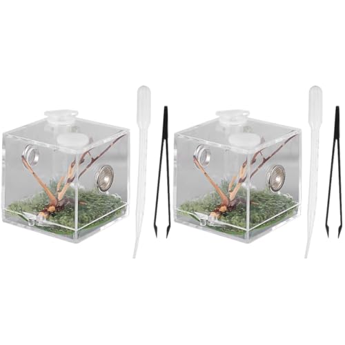 POPETPOP 2 Stücke Spinne Terrarium Spinne Spinne Box Reptil Terrarium Kit Spinne Behälter Lebensraum Box Reptil von POPETPOP