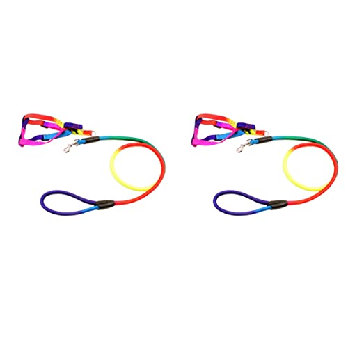 POPETPOP 2 Stück Nylon-hundeleinen Und Sets Zugseile Heimtierbedarf Größe S Für Aktive Hunde POPETPOP 2 Stück Nylon-hundeleinen Und Sets Zugseile Heimtierbedarf Größe S Für Aktive Hunde von POPETPOP