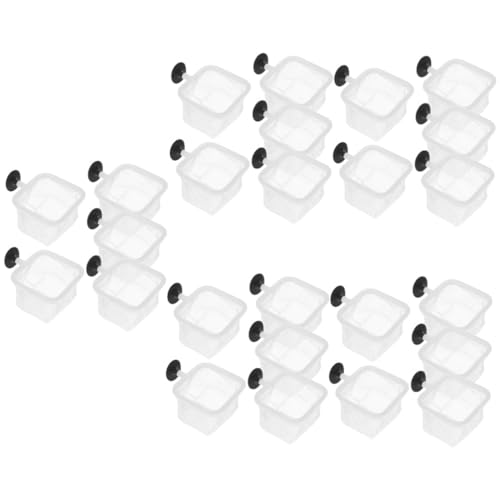 POPETPOP 25 STK Isolationsnetz für Aquarien Trennwand für Aquarien Inkubator zum Laichen von Fischen fischnetz Fischbehälter Fischzucht Netzkasten Aquariumnetz Garnelenzuchtnetz Nylon Weiß POPETPOP 25 STK Isolationsnetz für Aquarien Trennwand für Aquarien Inkubator zum Laichen von Fischen fischnetz Fischbehälter Fischzucht Netzkasten Aquariumnetz Garnelenzuchtnetz Nylon Weiß von POPETPOP