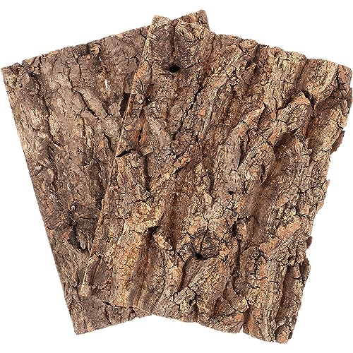 POPETPOP 2stücke Terrarium Rinde Für Reptilien Naturkork Dekoration Kletterbark Für Schildkröten Und Echsen Eine Natürliche Umgebung Im Aquarium POPETPOP 2stücke Terrarium Rinde Für Reptilien Naturkork Dekoration Kletterbark Für Schildkröten Und Echsen Eine Natürliche Umgebung Im Aquarium von POPETPOP