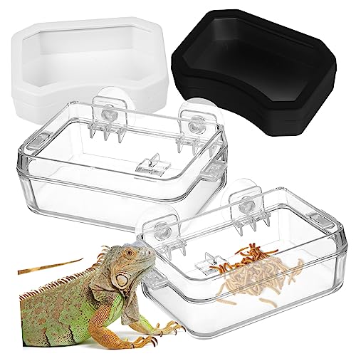 POPETPOP 2St Wassernapf für Reptilien Suction Cup saugnäpfe Reptilienhaltung Reptilienfutterzubehör Reptilienpflege Reptilienfutterautomat Saugnapf-Futterstation für Reptilien Plastik POPETPOP 2St Wassernapf für Reptilien Suction Cup saugnäpfe Reptilienhaltung Reptilienfutterzubehör Reptilienpflege Reptilienfutterautomat Saugnapf-Futterstation für Reptilien Plastik von POPETPOP