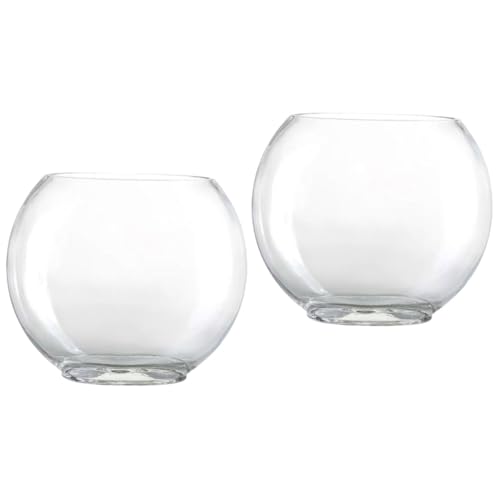 POPETPOP 2 Stücke Landschaft Flasche Glas Terrarium Anlage Für Home Office Dekorative von POPETPOP
