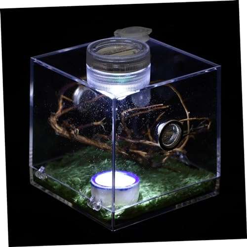 POPETPOP 2er-Box Springspinnen-zuchtbox Spinnenkäfig Aus Acryl Mini-tierwächter Vivarienbecken Zuchtbecken Für Aquarien Eidechse Terrarium Reptilien Glas Kleine Spinne Keramik Insektenkiste von POPETPOP