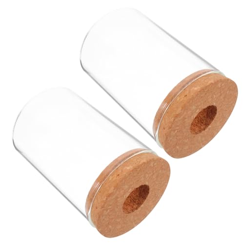 POPETPOP 2pcs Hydroponische Pflanze Vasen Transparente Glas -Terrarium -gläser Für Bürodekoration Mikrolandschaft Eco Flaschen Hydrokroponik -Pflanzen Gläser Für Grüne Desktop -ausbreitung von POPETPOP