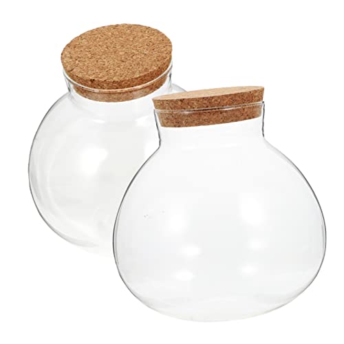 POPETPOP 2 Stücke Glas Terrarium Landschaft Flasche Dekorative Anlage Flasche für Wohnkultur POPETPOP 2 Stücke Glas Terrarium Landschaft Flasche Dekorative Anlage Flasche für Wohnkultur von POPETPOP