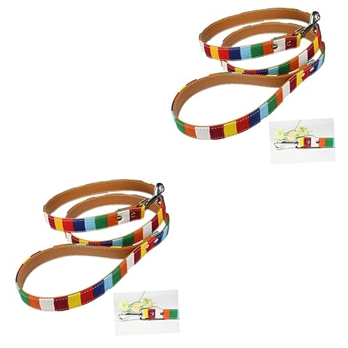 POPETPOP 2st Leine Für Welpen Hundehalsbänder Für Welpen Hundetraining Führen Für Hunde Für Haustiere Regenbogenleine Heimtiertraining Führen Führseil Hündchen POPETPOP 2st Leine Für Welpen Hundehalsbänder Für Welpen Hundetraining Führen Für Hunde Für Haustiere Regenbogenleine Heimtiertraining Führen Führseil Hündchen von POPETPOP