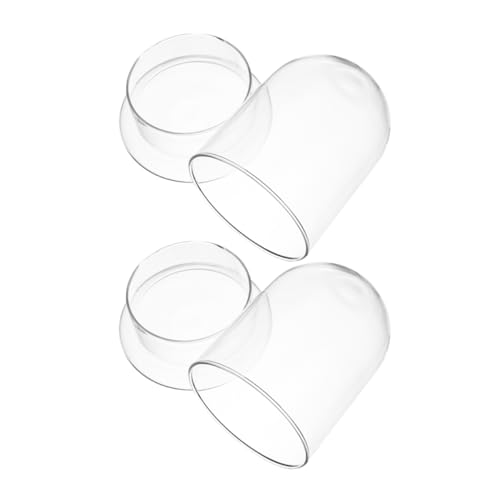 POPETPOP Elegante Glasflasche Mit Mooslandschaft Landschaftsbehälter Für Zuhause Und Büro von POPETPOP