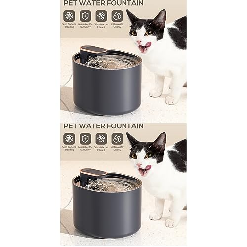 POPETPOP 2st Trinkbrunnen Für Haustiere Kleines Sieb Katze Kleiner Wasserspender Haustierzubehör Wasserspender Für Haustiere Mit Filter Trinkbrunnen Für Hunde Automatisch Maschine Pp von POPETPOP