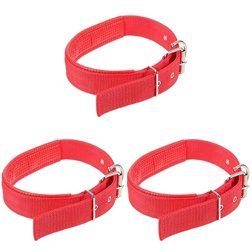 POPETPOP 3 Stück Nylon-hundehalsbänder Für Mittelgroße Und Große Hunde Strapazierfähiges Halsband Mit Metallschnalle Für Das Hundespaziertraining von POPETPOP