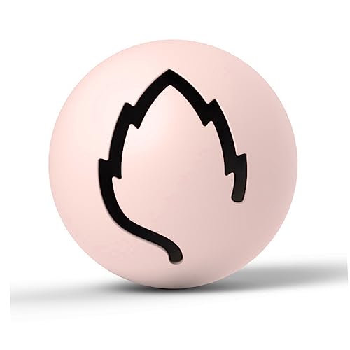 POPETPOP 3st Katze Blinkender Ball Ballspielzeug Für Katzen Für Haustiere Pet-Ball- Katze Glocke POPETPOP 3st Katze Blinkender Ball Ballspielzeug Für Katzen Für Haustiere Pet-Ball- Katze Glocke von POPETPOP