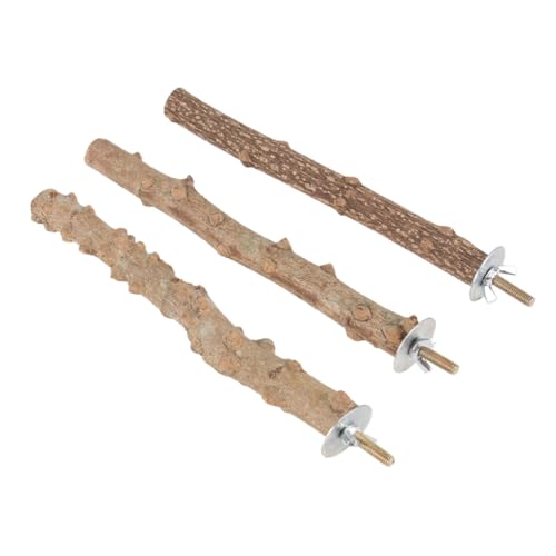POPETPOP 3 Stücke Papagei Protokolle Sticks Barsch Vogel Spielen Stehen Für Nymphensittich Papagei Beißen Spielzeug Sicher Pet Kauen Spielzeug POPETPOP 3 Stücke Papagei Protokolle Sticks Barsch Vogel Spielen Stehen Für Nymphensittich Papagei Beißen Spielzeug Sicher Pet Kauen Spielzeug von POPETPOP