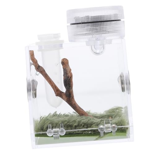 POPETPOP 4 Stück Box Springspinne Zuchtbox Mini Luftbefeuchter Mini Terrarium Kleiner Glasbehälter Lebensraum Aquarium Zubehör Reptilien Terrarien Zuchtträger Spinnenkoffer von POPETPOP