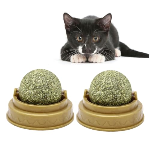 POPETPOP 4stücke Katzenlickball Mit Katzenminze Wandmontage Spielzeug Für Kleine Katzen Rotierende Puzzle-bälle Zur Zahnpflege Und Verdauungsförderung Grün von POPETPOP