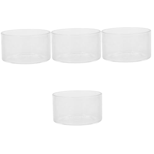 POPETPOP 4 Stücke Anlage Terrarium Glas Landschaft Flasche Glas Eco Flasche Dekorative Pflanzer von POPETPOP