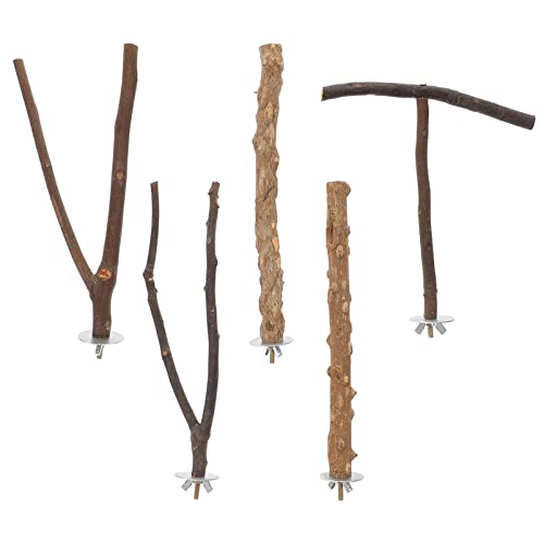 POPETPOP 5 Stücke Holz Vogel Barsch Papagei Ständer Zweige Spielzeug Haustier Vogelkäfig Holz Hängende Stange Plattform Hängematte Schaukel Spielzeug Für Kleine Sittiche POPETPOP 5 Stücke Holz Vogel Barsch Papagei Ständer Zweige Spielzeug Haustier Vogelkäfig Holz Hängende Stange Plattform Hängematte Schaukel Spielzeug Für Kleine Sittiche von POPETPOP