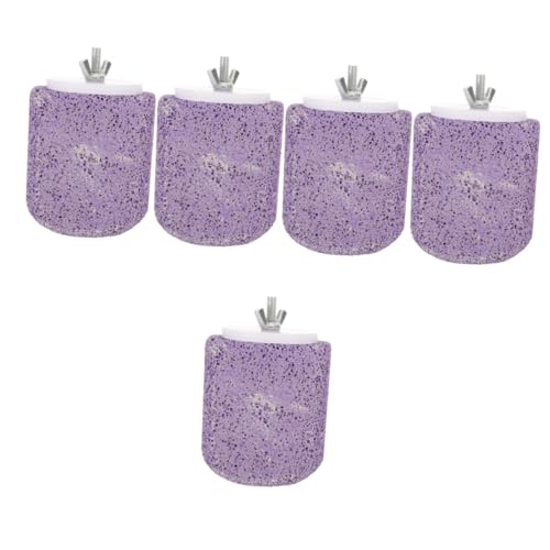 POPETPOP 5st Papagei Stehstange Papageienständer Vogelzubehör Sittich Barsch Vogelstangen Für Sittiche Übungsplattform Für Vögel Papageienstangen Stehen Papageienbarsch Violet Bimsstein POPETPOP 5st Papagei Stehstange Papageienständer Vogelzubehör Sittich Barsch Vogelstangen Für Sittiche Übungsplattform Für Vögel Papageienstangen Stehen Papageienbarsch Violet Bimsstein von POPETPOP