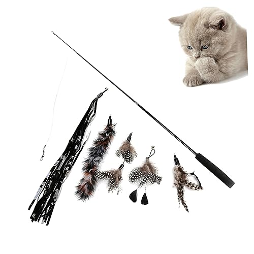 POPETPOP 6stücke Teiliges Teaser Für Katzen Kreative Tragbare Katzenangel Mit Bunten Köpfen Aus Sicherem Material Für Katzen Und Kätzchen Um Spiel Und Spaß Zu Fördern POPETPOP 6stücke Teiliges Teaser Für Katzen Kreative Tragbare Katzenangel Mit Bunten Köpfen Aus Sicherem Material Für Katzen Und Kätzchen Um Spiel Und Spaß Zu Fördern von POPETPOP