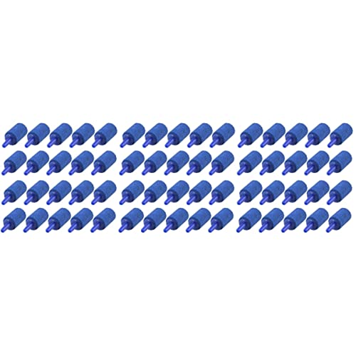 POPETPOP 60 PC-Blasendiffusorsteine Mineralisches Großes Zubehör Fördert Kleinen Vorzüglichen Zollsauerstoff. Blau Pumpbelüfter Diffusoren Pumpbar Tanks Steine Tragbar Tank - POPETPOP 60 PC-Blasendiffusorsteine Mineralisches Großes Zubehör Fördert Kleinen Vorzüglichen Zollsauerstoff. Blau Pumpbelüfter Diffusoren Pumpbar Tanks Steine Tragbar Tank - von POPETPOP
