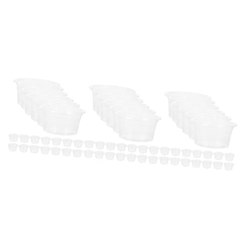 POPETPOP 60 STK Wasserkasten Für Reptilien Futterbecher Aus Kunststoff Terrarienschale Für Reptilien Gecko-Essen Futternäpfe Für Reptilien Leiste Gecko-futterbecher Klein Plastik Fressnapf POPETPOP 60 STK Wasserkasten Für Reptilien Futterbecher Aus Kunststoff Terrarienschale Für Reptilien Gecko-Essen Futternäpfe Für Reptilien Leiste Gecko-futterbecher Klein Plastik Fressnapf von POPETPOP