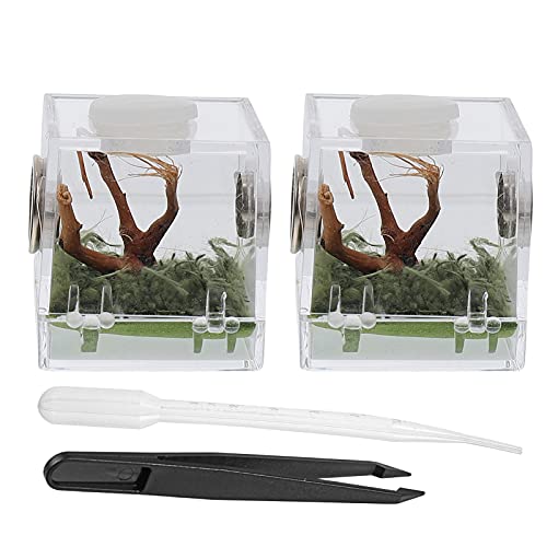 POPETPOP 6Sets Eidechse Spinne Terrarien Zangen- Gehege- Einsiedler Mini Bärtiger Wächter Haus Einfaches Kleines L Aquarium Drachenschildkröte Reptil. Hohes Landschaftstier Xcm Behälter von POPETPOP