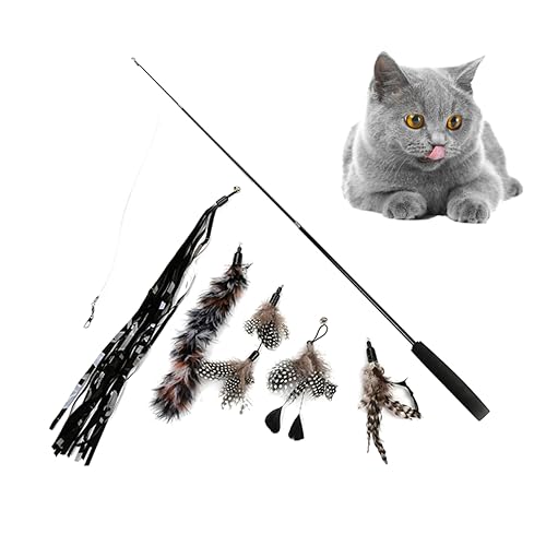 POPETPOP 6st Katzenspielzeug Spielzeug Für Haustiere Interaktiver Spielzeugstab Bunter Katzenzauberstab Spielzeug Für Katzenjäger Katzen-Teaser Haustier Zauberstab Spielzeug Angeln Kätzchen POPETPOP 6st Katzenspielzeug Spielzeug Für Haustiere Interaktiver Spielzeugstab Bunter Katzenzauberstab Spielzeug Für Katzenjäger Katzen-Teaser Haustier Zauberstab Spielzeug Angeln Kätzchen von POPETPOP