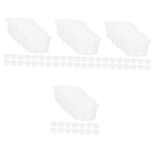 POPETPOP 4 Sets Gecko-Becher Reptilien-futterbecher Wiederverwendbare Schüssel Für Den Täglichen Gebrauch Kompakte Reptilien-Gerichte 20 Stück * 4 POPETPOP 4 Sets Gecko-Becher Reptilien-futterbecher Wiederverwendbare Schüssel Für Den Täglichen Gebrauch Kompakte Reptilien-Gerichte 20 Stück * 4 von POPETPOP