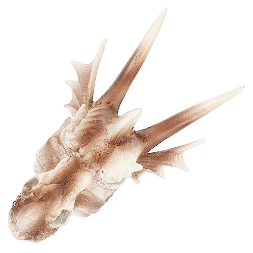 POPETPOP Aquariendekoration Garnelen Unterschlupf Vivarium Aquarium Fischhaus Drachen Hai Dino schädel Wasserlandschaft Aquarium versteckte Höhle Einsiedlerkrebsschalen mittel bis groß Harz POPETPOP Aquariendekoration Garnelen Unterschlupf Vivarium Aquarium Fischhaus Drachen Hai Dino schädel Wasserlandschaft Aquarium versteckte Höhle Einsiedlerkrebsschalen mittel bis groß Harz von POPETPOP