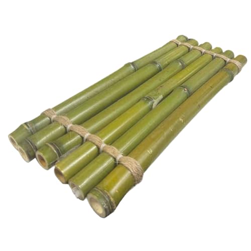 POPETPOP Wasserablaufbrett Für Aquarien Leicht Und Langlebig Als Natürliche Dekoration Für Fischbecken Für DIY Aquarienlandschaften POPETPOP Wasserablaufbrett Für Aquarien Leicht Und Langlebig Als Natürliche Dekoration Für Fischbecken Für DIY Aquarienlandschaften von POPETPOP