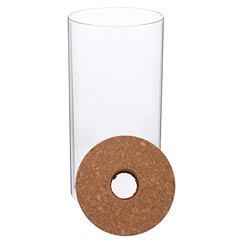 POPETPOP Borosilikatglas ökologischer Flasche Gla -Terrarium Vermehrungsgefäße DIY-Mikrolandschaftsflasche Mikro-Landschaftspflanzerflasche Terrarienbehälter aus Glas Transparent POPETPOP Borosilikatglas ökologischer Flasche Gla -Terrarium Vermehrungsgefäße DIY-Mikrolandschaftsflasche Mikro-Landschaftspflanzerflasche Terrarienbehälter aus Glas Transparent von POPETPOP
