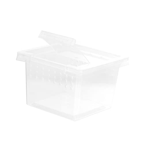 POPETPOP Kasten Aufzuchtbox Für Insekten Reptilien-isolierbox Schildkrötenträger Tarantelgehege Reptilienbecken-Terrarium Tragbarer Käfig Reptilien Zuchtbehälter Tier Plastik Bodenkäfig POPETPOP Kasten Aufzuchtbox Für Insekten Reptilien-isolierbox Schildkrötenträger Tarantelgehege Reptilienbecken-Terrarium Tragbarer Käfig Reptilien Zuchtbehälter Tier Plastik Bodenkäfig von POPETPOP